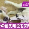 Thumbnail of related posts 071